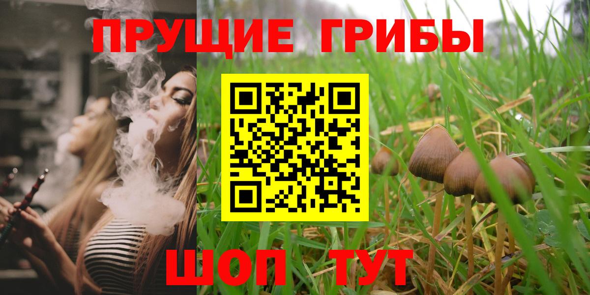 Ивантеевка  Галлюциногенные грибы ЛСД  купить наркотики цена  Вход с VPN 